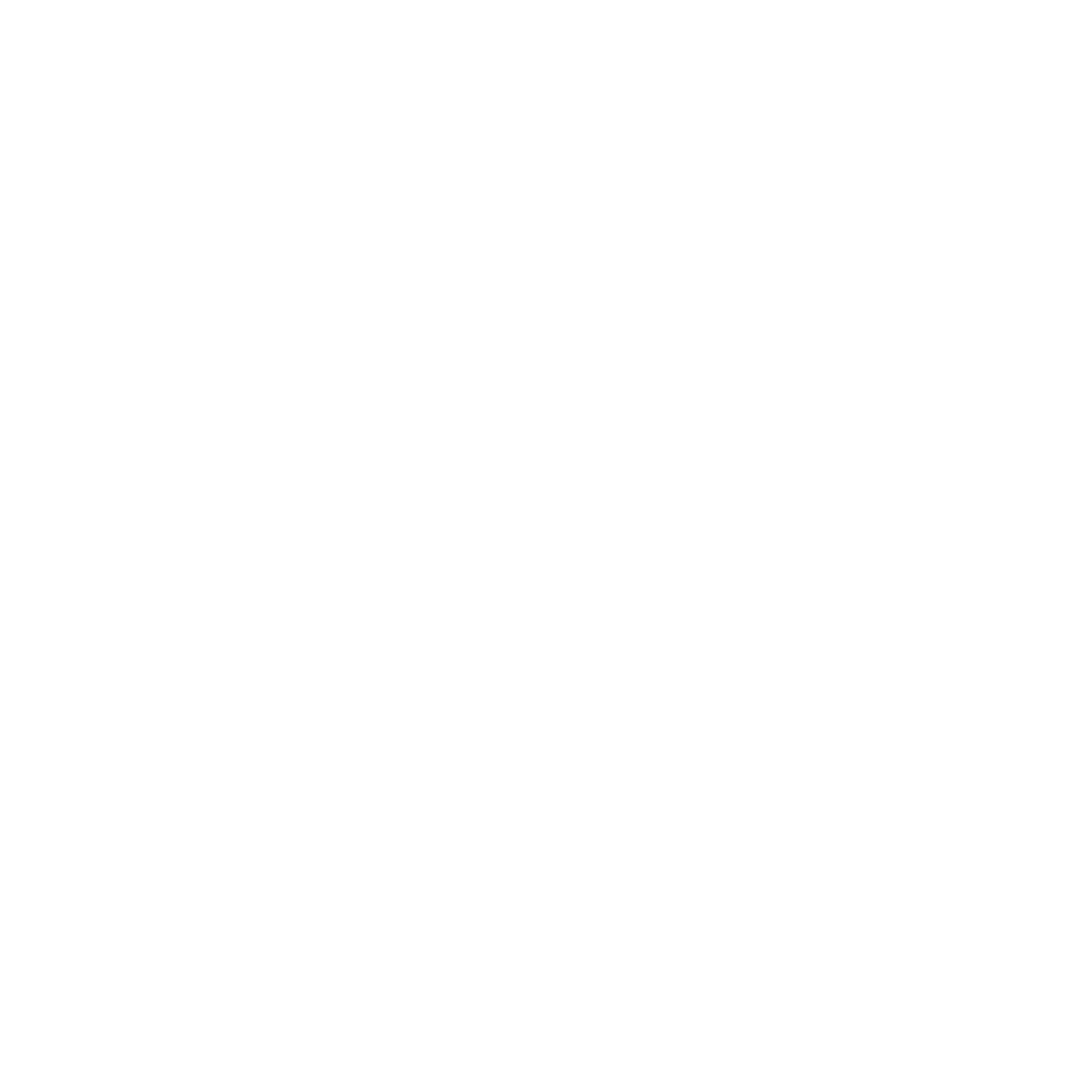 light logo